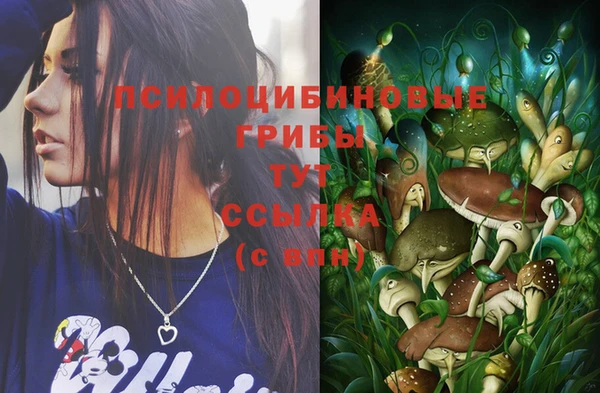 ПСИЛОЦИБИНОВЫЕ ГРИБЫ Беломорск