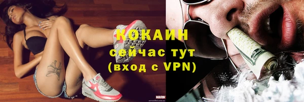 прущие грибы Балабаново