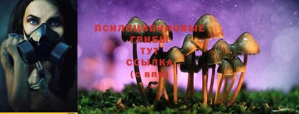 дмт Белокуриха