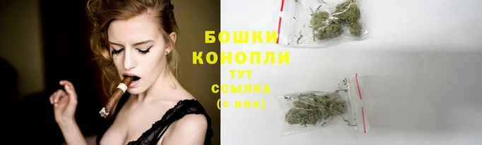 гидропоника Богородицк