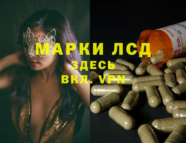 дмт Белокуриха
