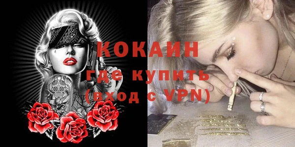 дмт Белокуриха