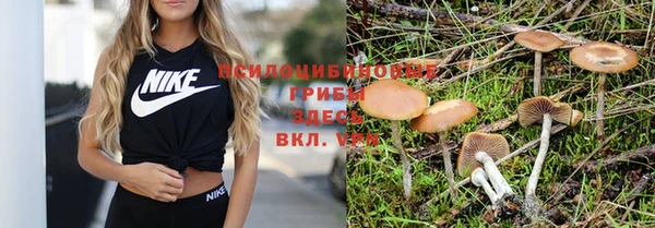 ПСИЛОЦИБИНОВЫЕ ГРИБЫ Беломорск