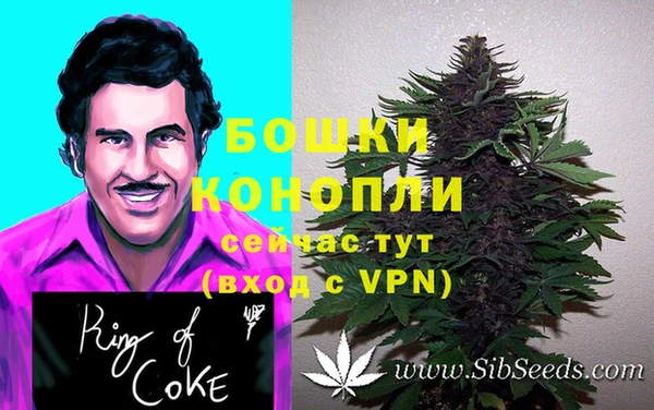 скорость Богданович