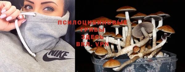 ПСИЛОЦИБИНОВЫЕ ГРИБЫ Беломорск