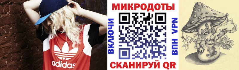 Псилоцибиновые грибы Cubensis дарнет шоп Кузнецк